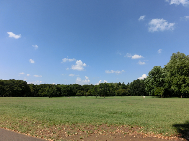 小金井公園 江戸東京たてもの園で １日遊び尽くす くすの樹 ドゥネル ケーニッヒ お風呂の王様 Playlife プレイライフ