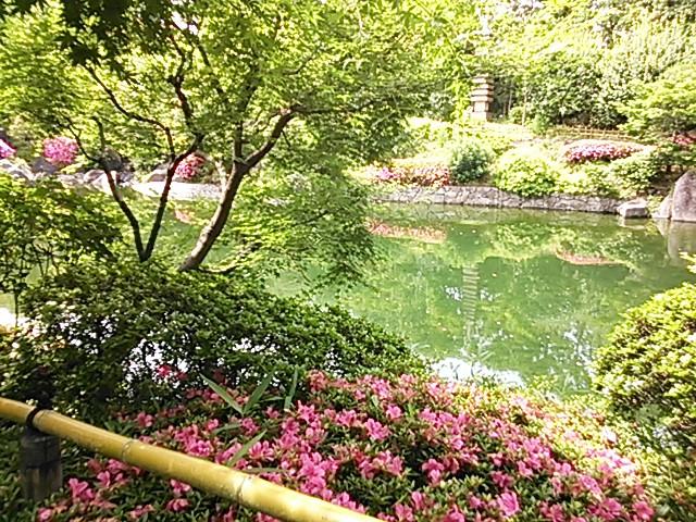 都会のオアシス 目白庭園 四季を感じる散歩道 今秋には俳優 大浦龍宇一様のイベントも Playlife プレイライフ