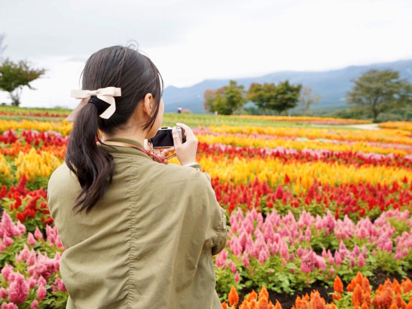 栃木県の日帰りで行けるおすすめ絶景スポット14選 世界遺産から穴場まで Playlife プレイライフ