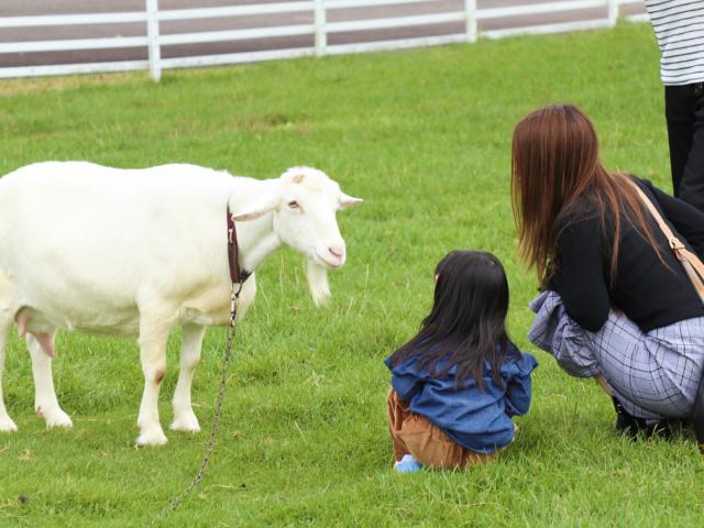 子どものテンションが上がる 八ヶ岳の子連れにおすすめホテル6選 観光スポット Playlife プレイライフ