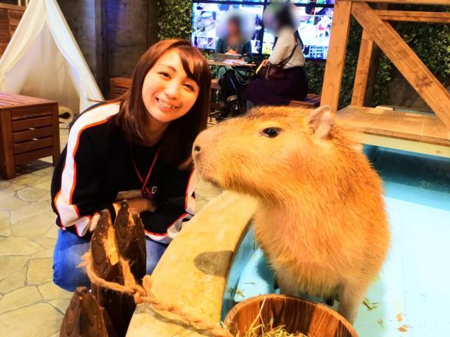 大阪のおすすめ動物カフェ10選 可愛い動物に思いきり癒されよう Playlife プレイライフ