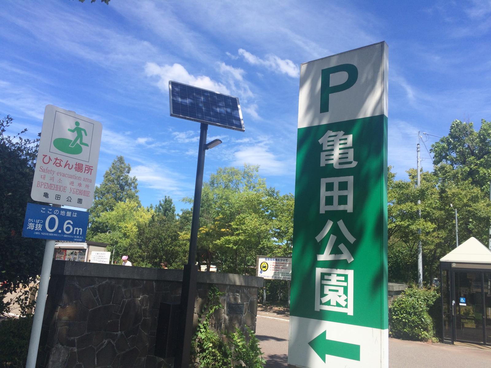新潟でポケモンgo 亀田公園はエレブーの巣 ルージュラの巣 気になる噂を1時間徹底検証 Playlife プレイライフ