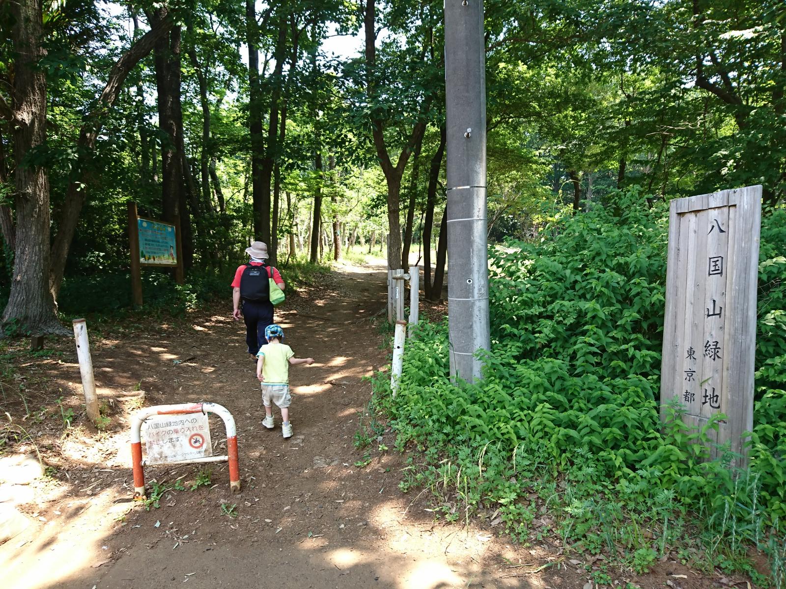 トトロに会いに行く 八国山緑地をハイキング 東京都東村山市 狭山丘陵 Playlife プレイライフ