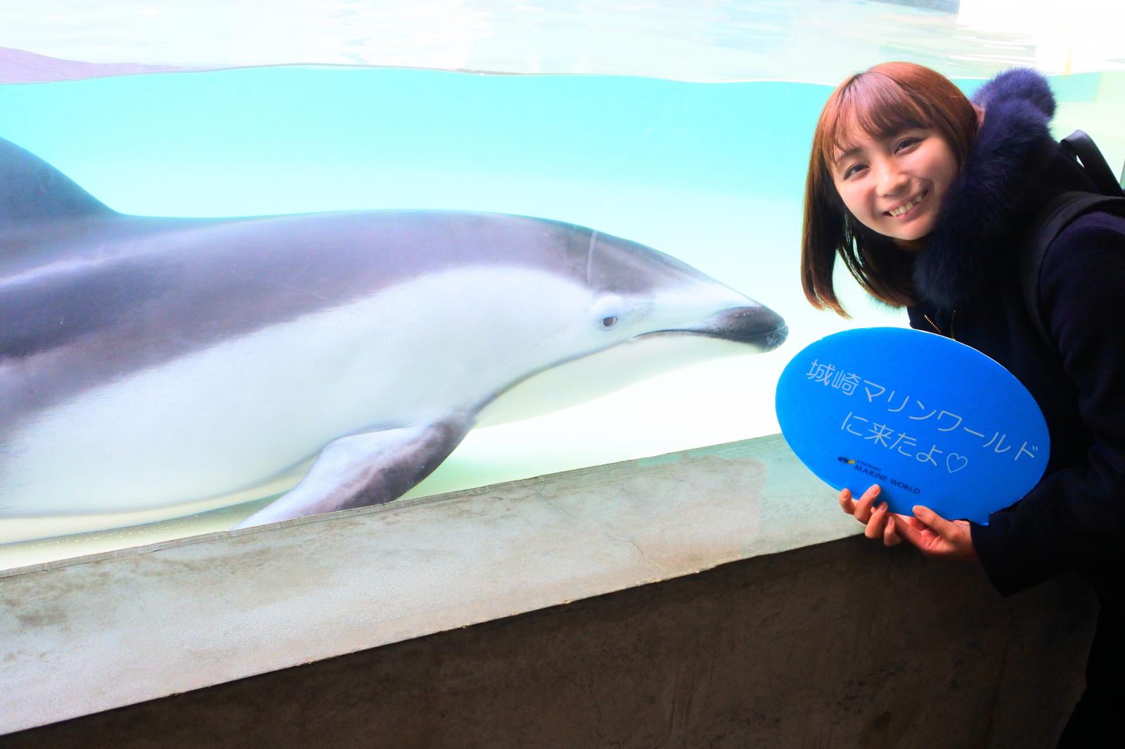 関西から日帰りで行ける 城崎マリンワールドで水族館以上の特別な体験をしよう Playlife プレイライフ