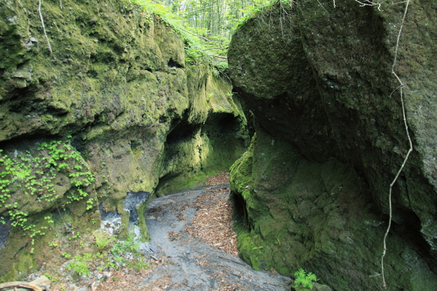 苔の洞門