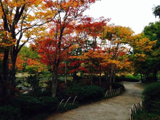 国営昭和記念公園 日本庭園