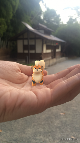 京都でポケモンgo 嵐山公園亀山地区はガーディの巣 気になる噂を徹底検証 その結果は Playlife プレイライフ