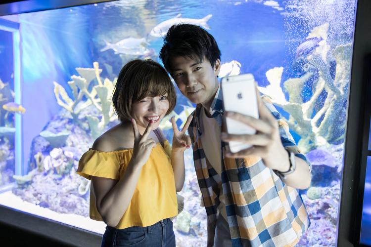 関東水族館 デートにもぴったり 絶対外さないおすすめ水族館7選 Playlife プレイライフ