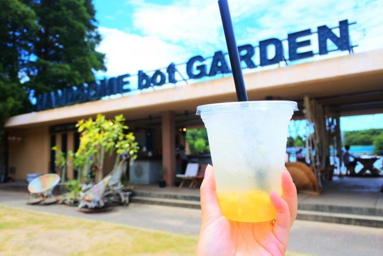 関西景色のいいカフェに選ばれた 長居公園に咲くひまわり畑と穴場カフェで過ごす最高のなつやすみ Playlife プレイライフ