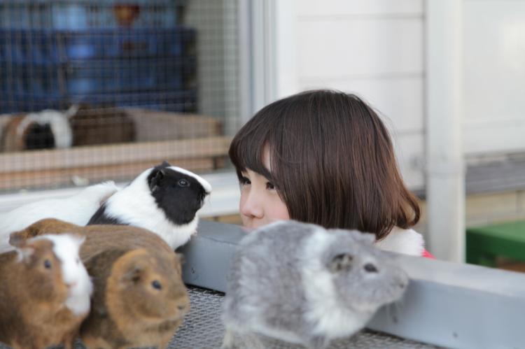 東京都内 近郊の動物園 これで絶対ハズさない おすすめ動物園10選 Playlife プレイライフ